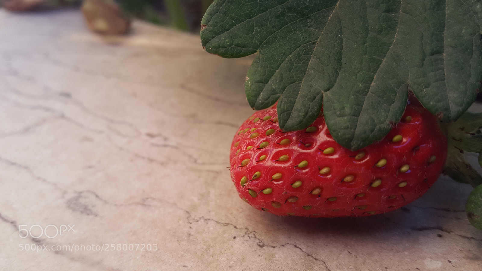 Samsung GALAXY S6 edge sample photo. Untitled photography