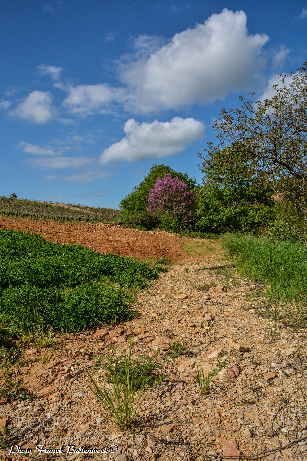 Nikon D7100 sample photo. Paysage de bourgogne france photography