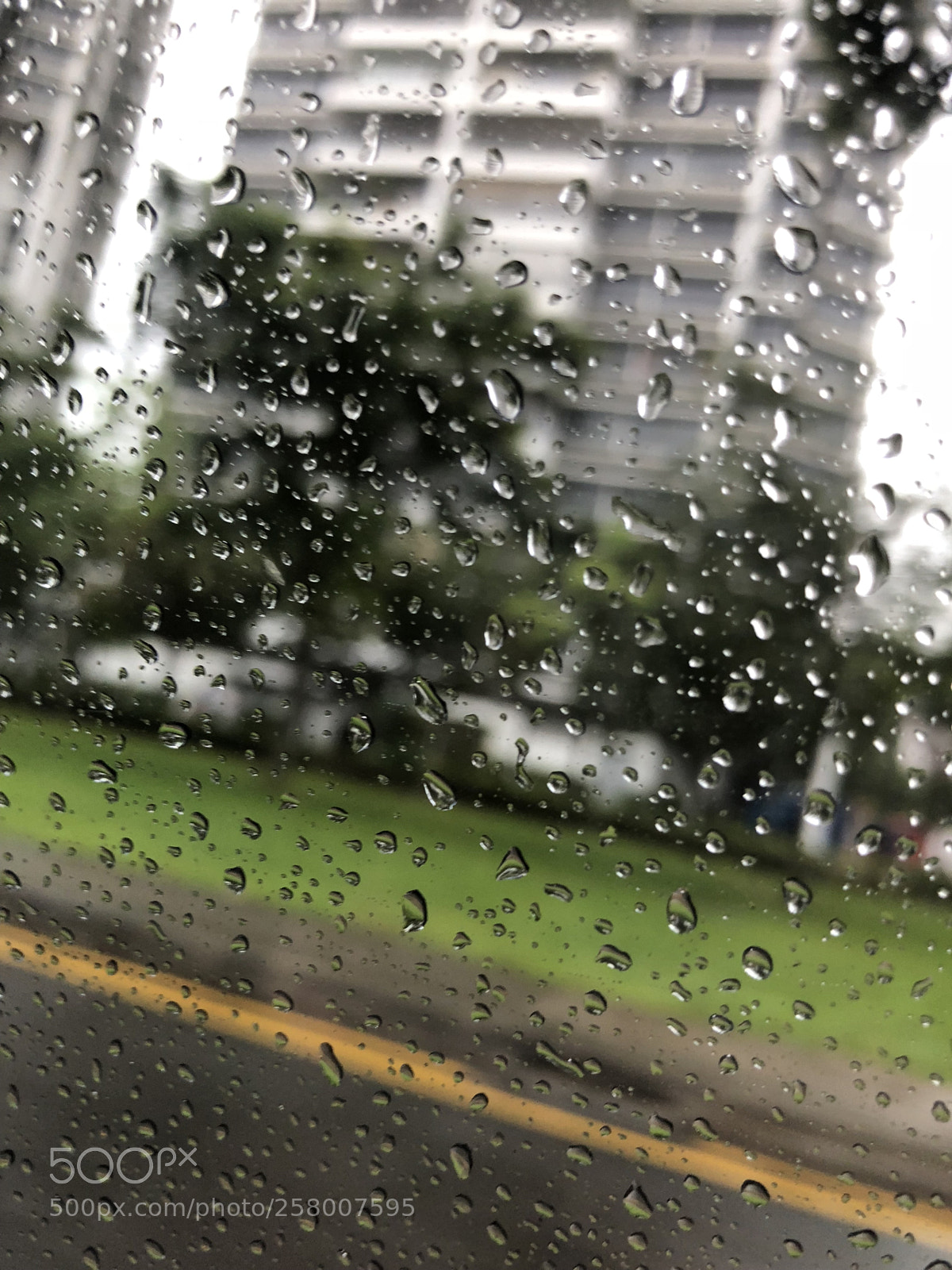 Apple iPhone 8 sample photo. Rainy day  photography