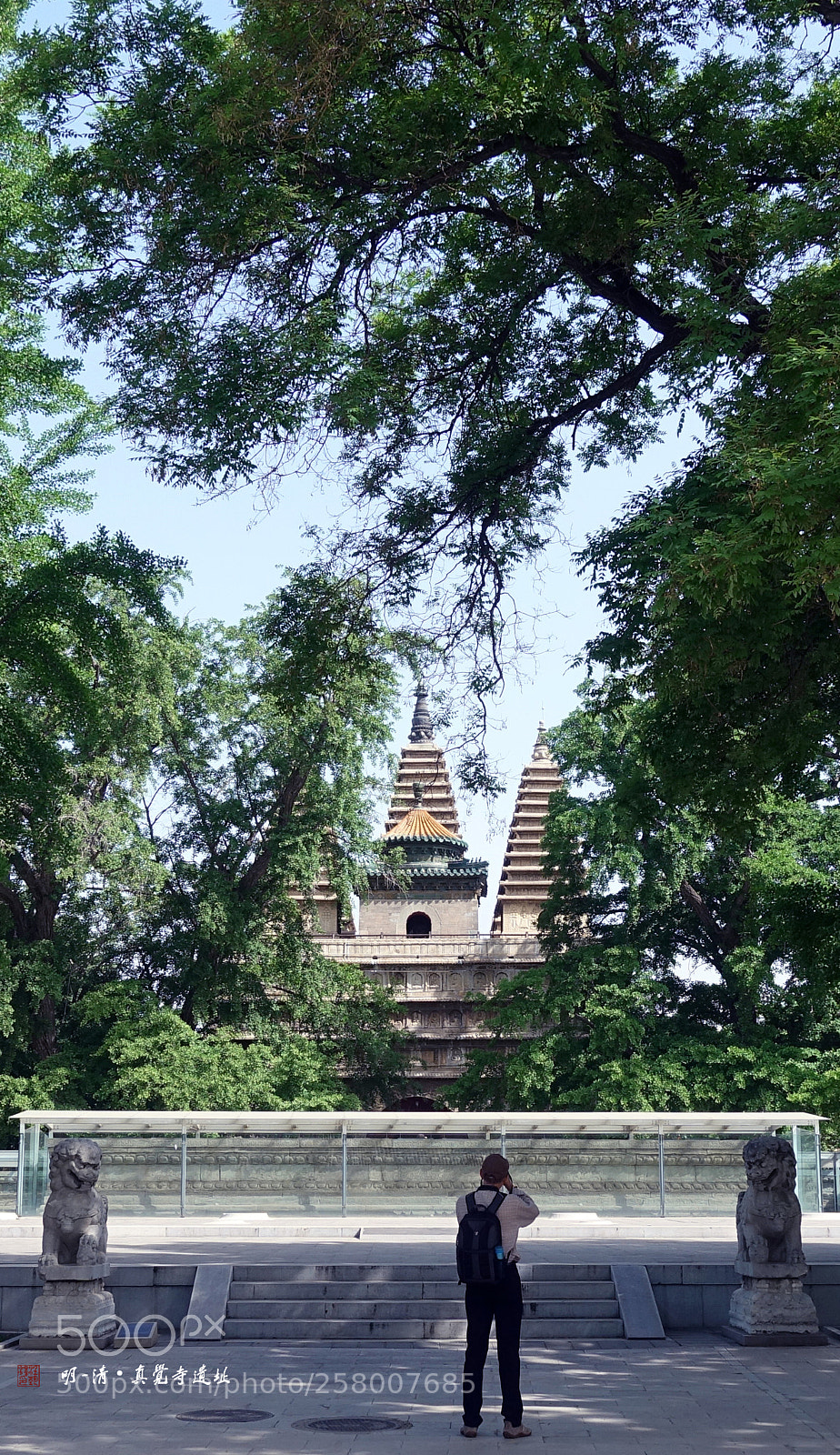 Sony DSC-RX100M5 sample photo. 真觉寺 photography