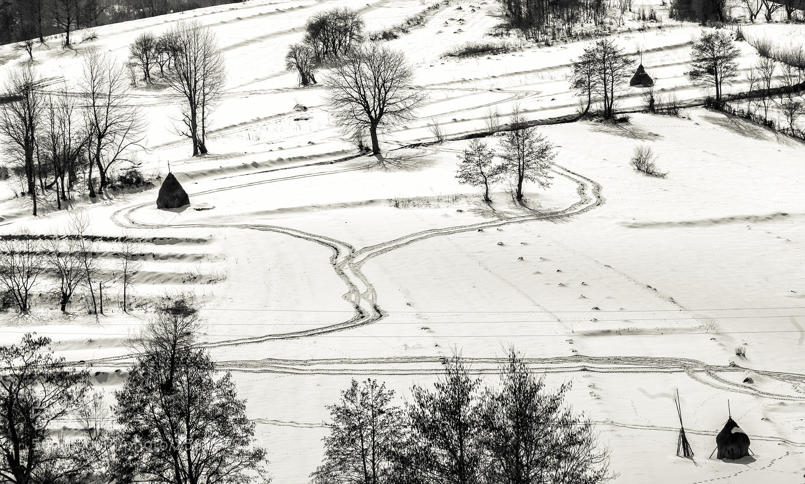 Canon EOS 5D Mark II sample photo. Split roads photography