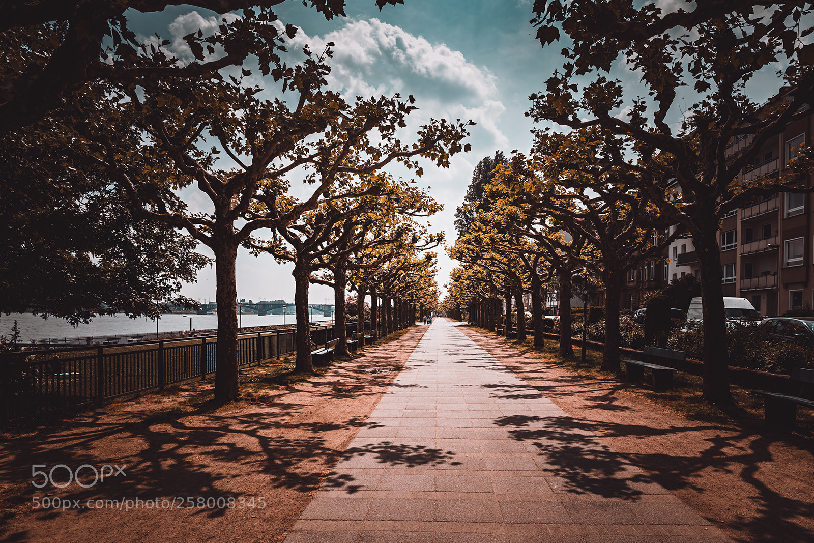 Canon EOS 6D sample photo. Rheinpromenade in mainz photography
