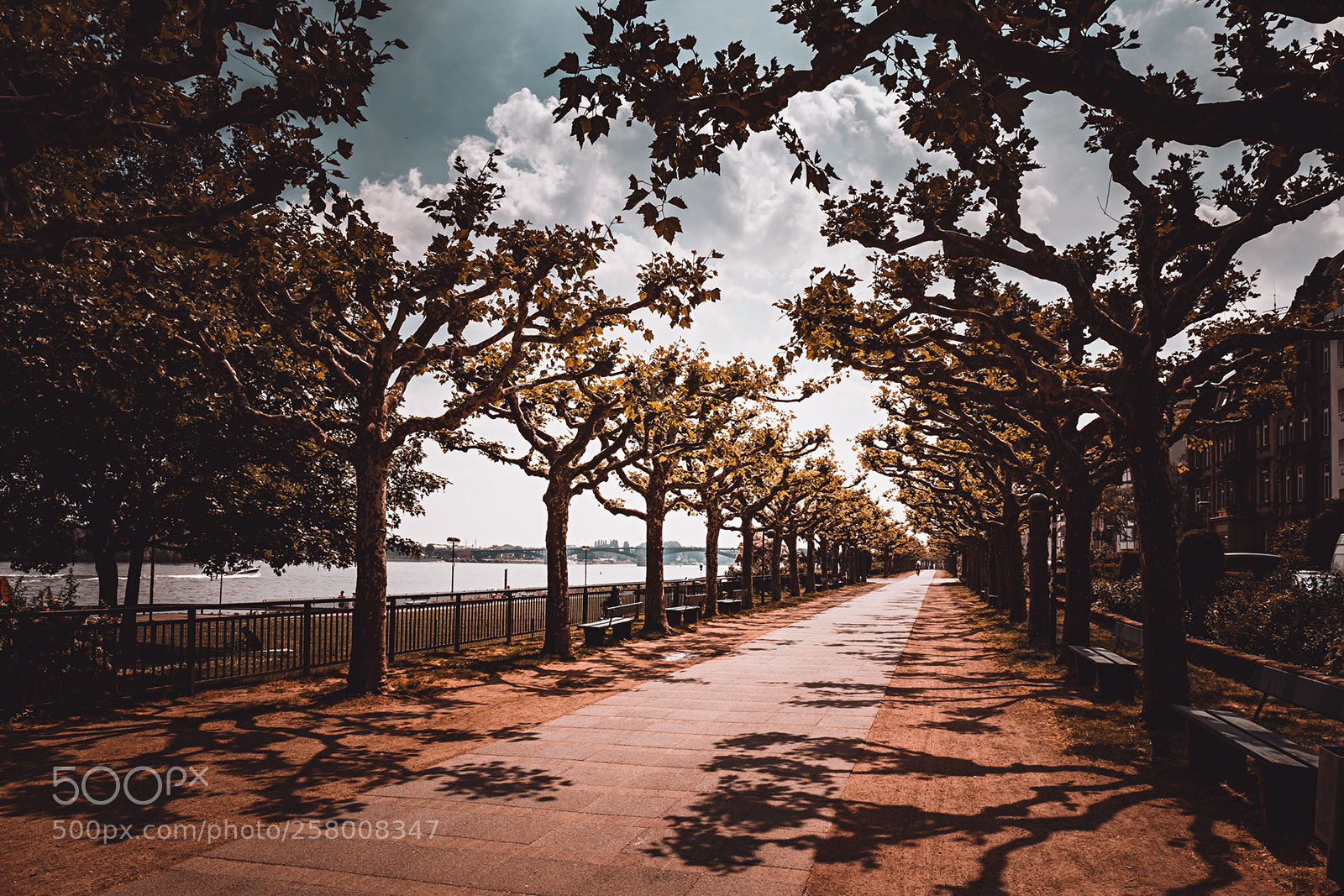 Canon EOS 6D sample photo. Rheinpromenade in mainz ii photography