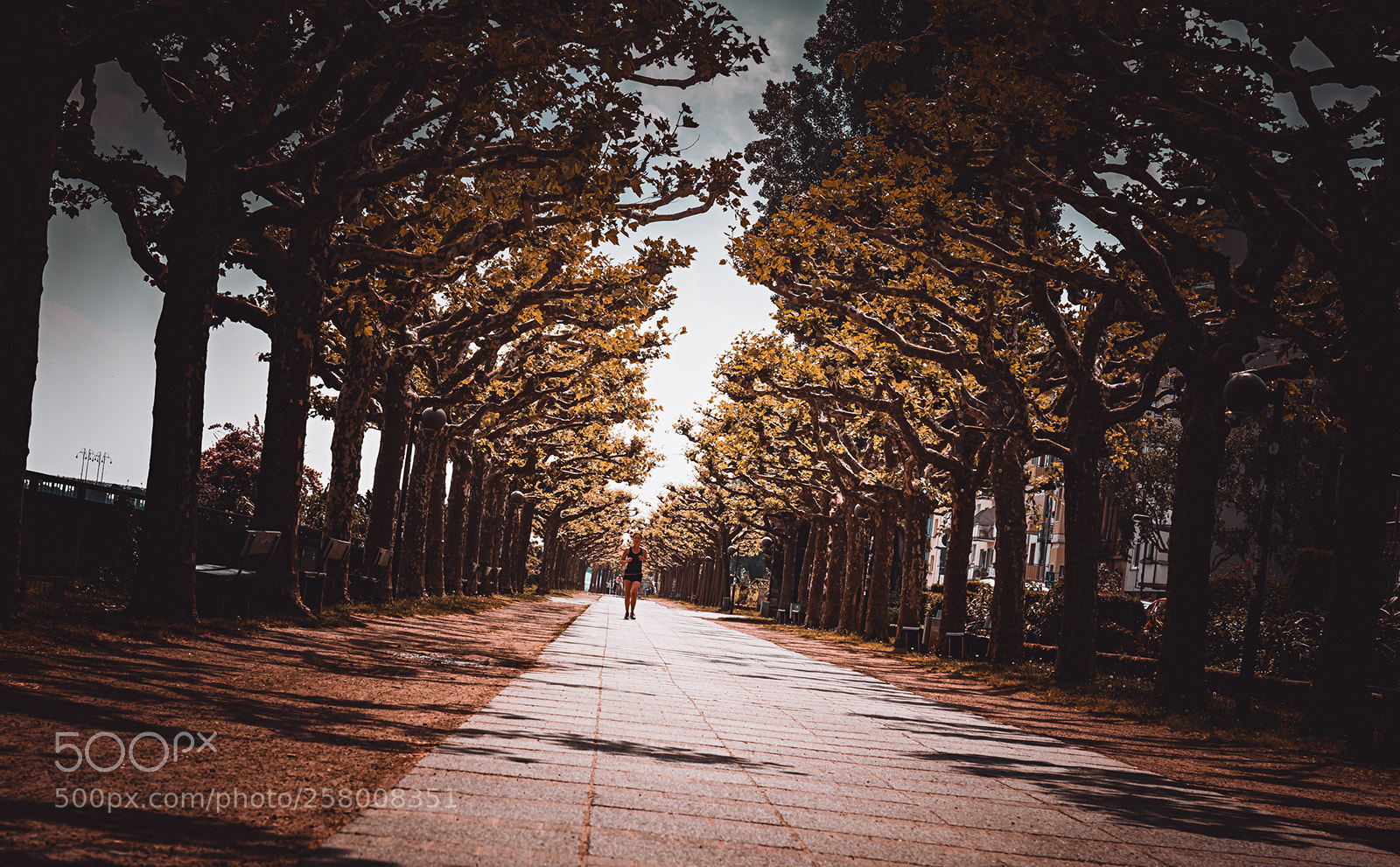 Canon EOS 6D sample photo. Rheinpromenade in mainz iii photography