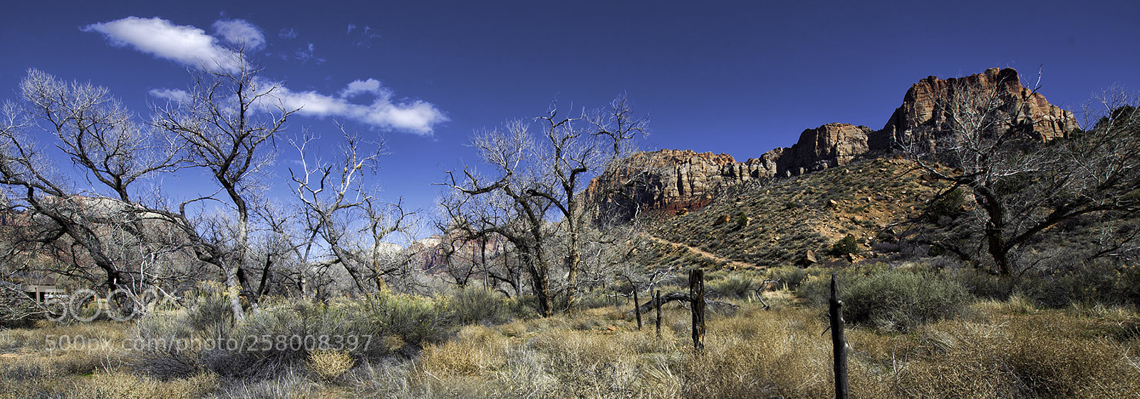 Nikon D810 sample photo. South west usa feb photography