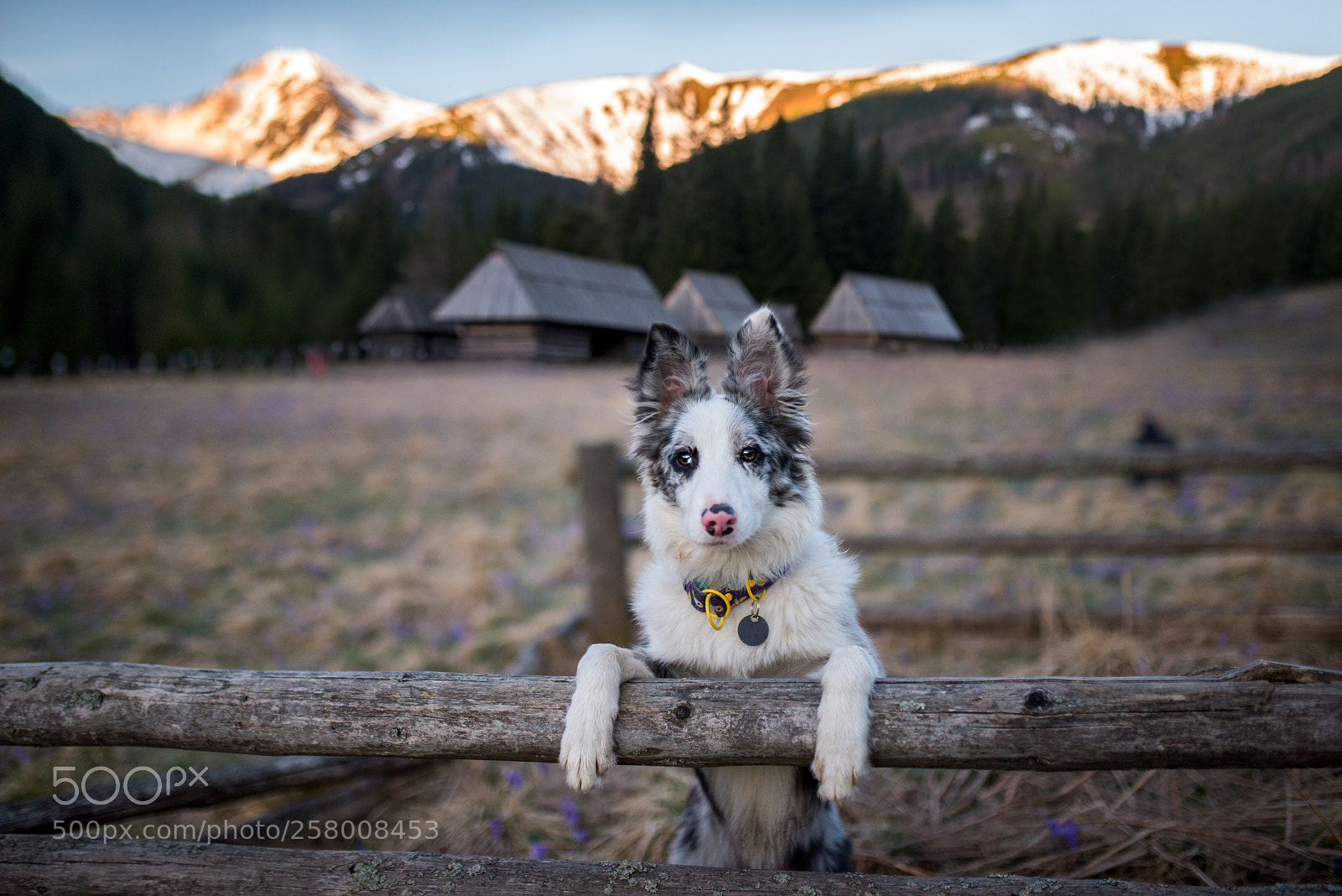 Nikon D610 sample photo. Sunrise photography
