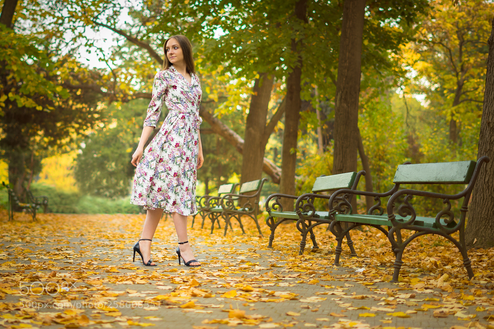 Sony a7 II sample photo. Autumn potrait photography