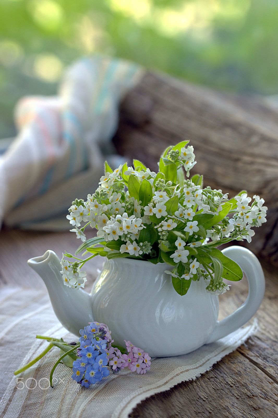 Canon EF 100mm F2.8L Macro IS USM sample photo. Forget me not photography