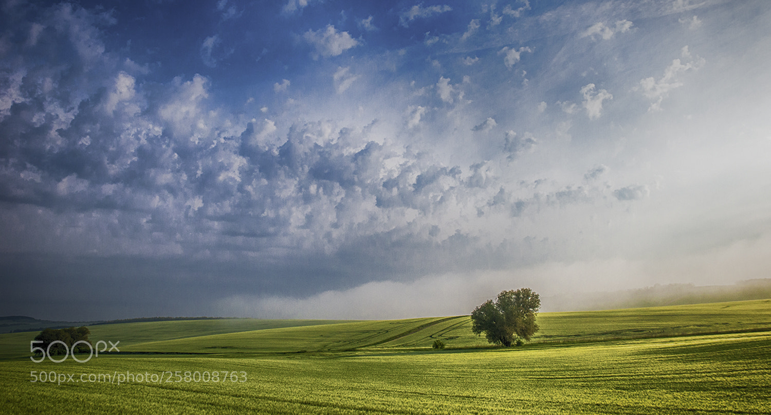 Nikon D610 sample photo. Spring clouds photography