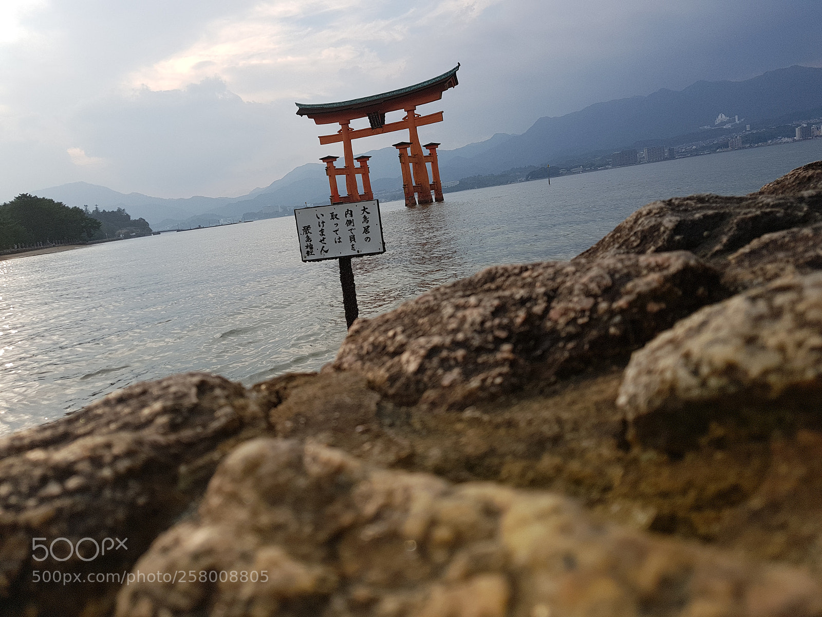 Samsung Galaxy S8+ sample photo. Untitled photography