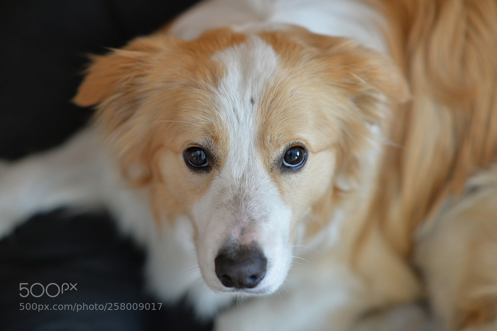 Nikon Df sample photo. Benjamin photography
