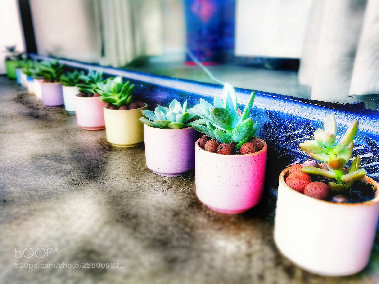 HUAWEI P9 sample photo. Untitled photography