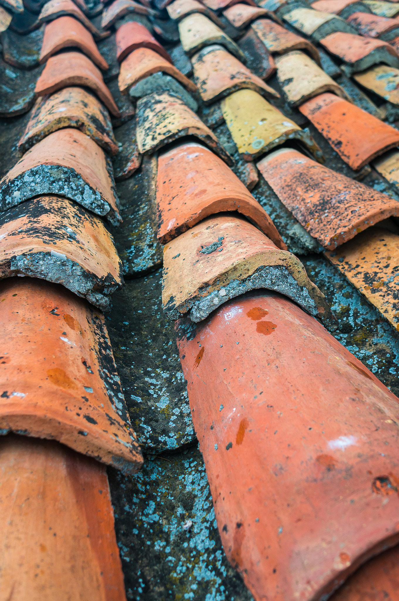 Sony Alpha NEX-5R sample photo. Tile photography