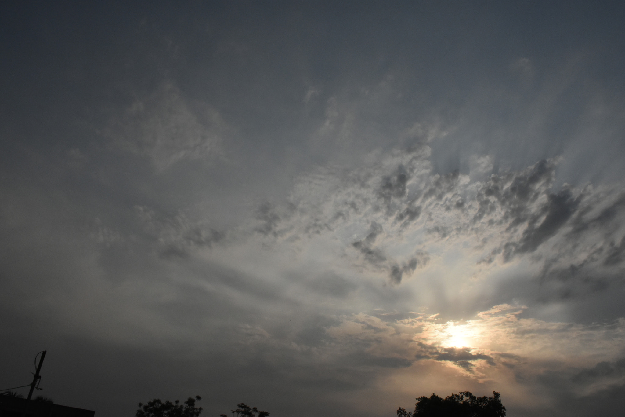 Nikon D7200 sample photo