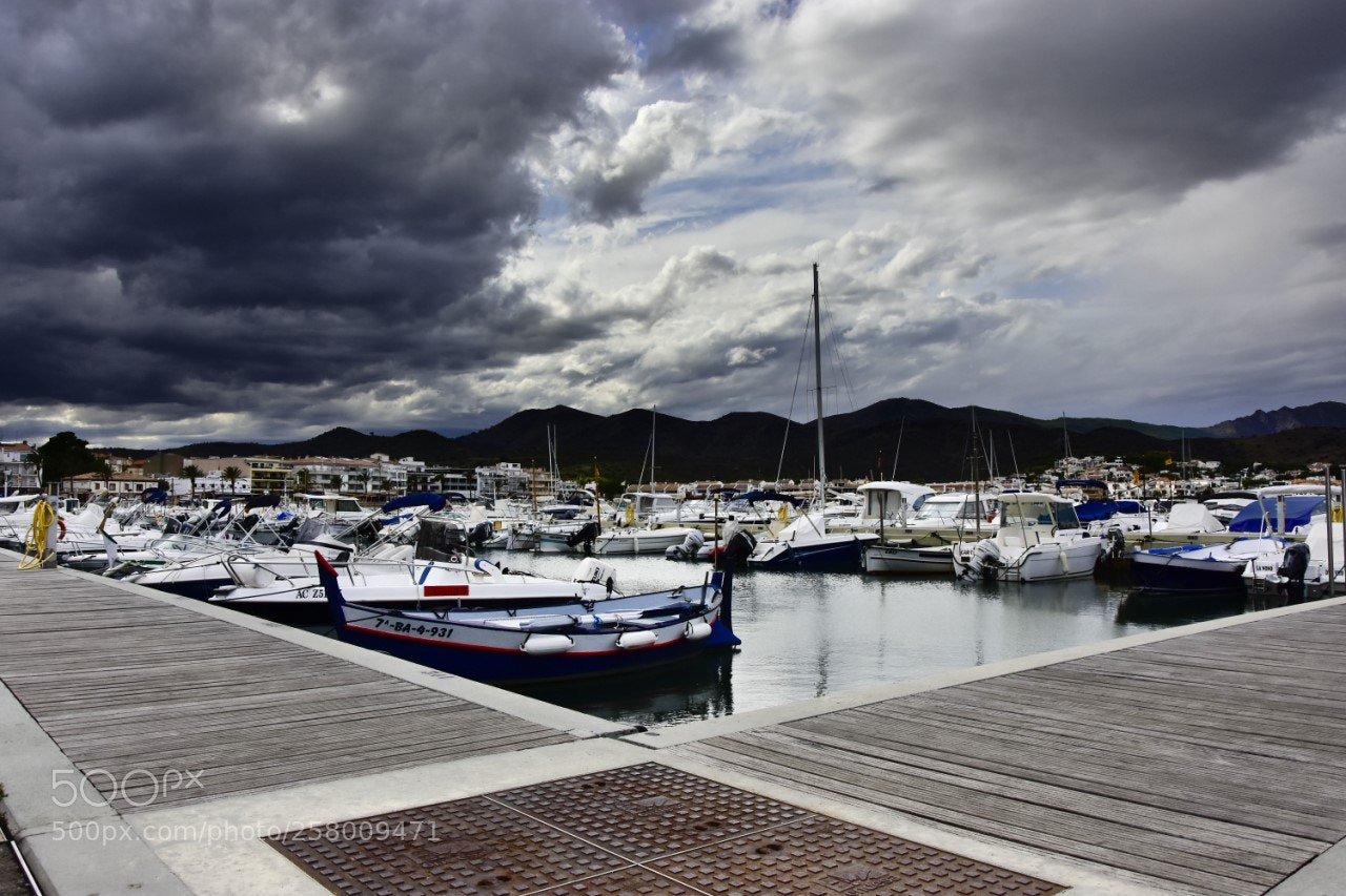 Nikon D7200 sample photo. Puerto photography