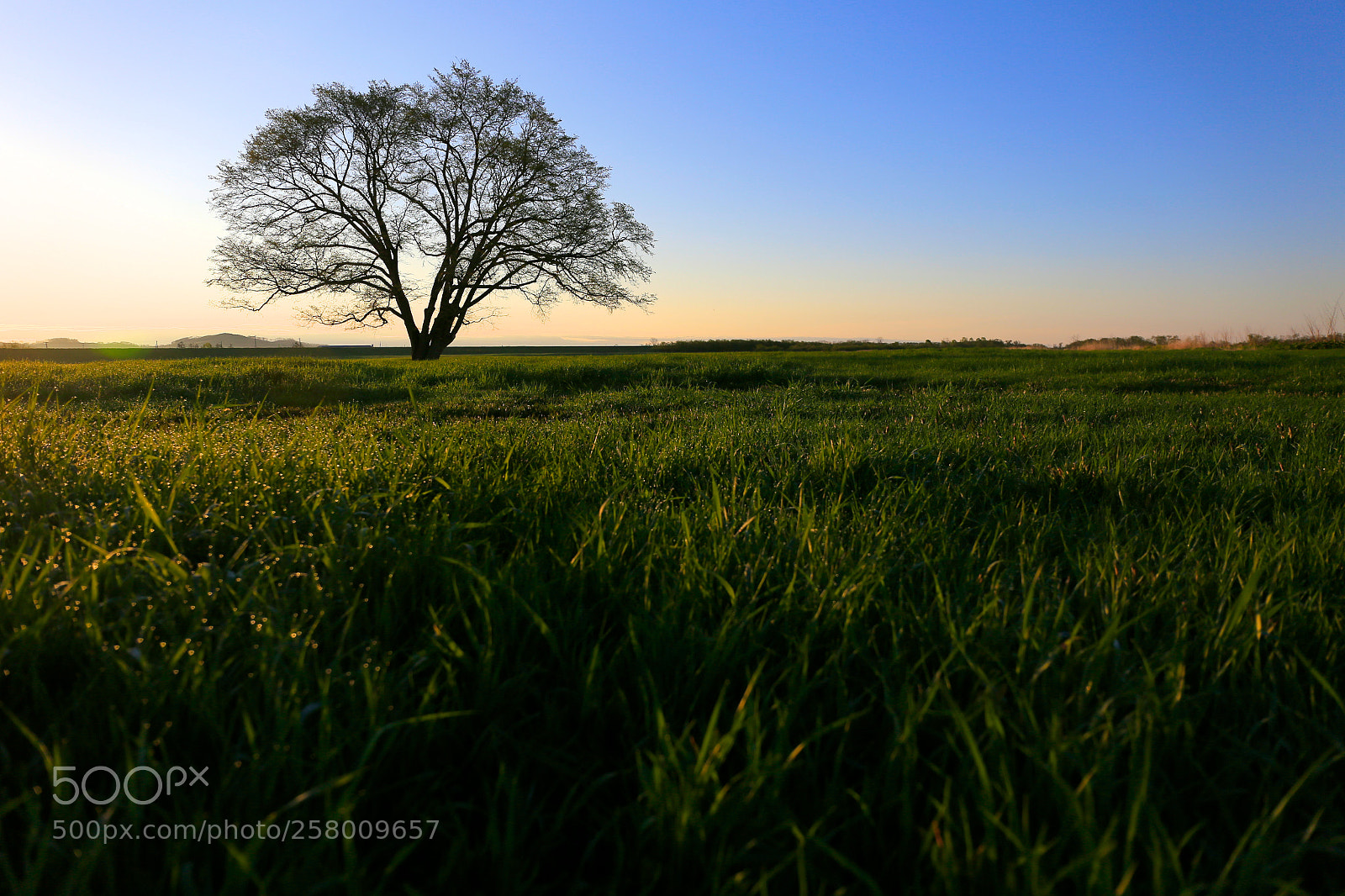 Canon EOS 6D sample photo. Spring photography