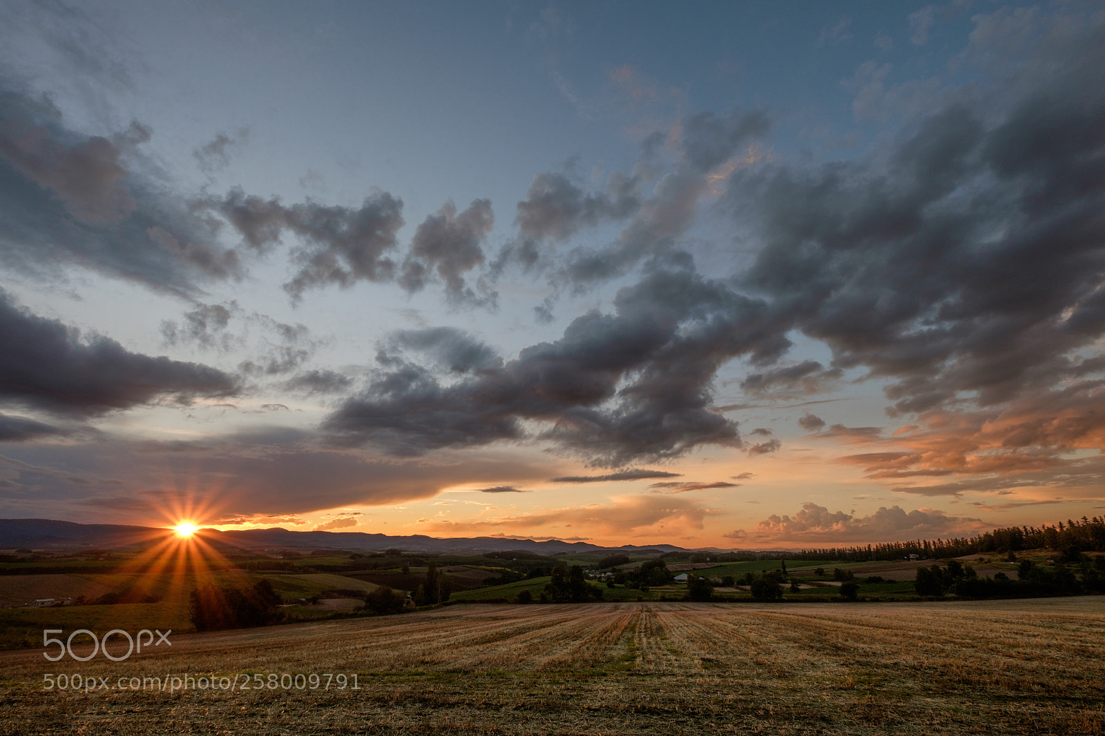 Fujifilm X-E2 sample photo. Sunset field photography