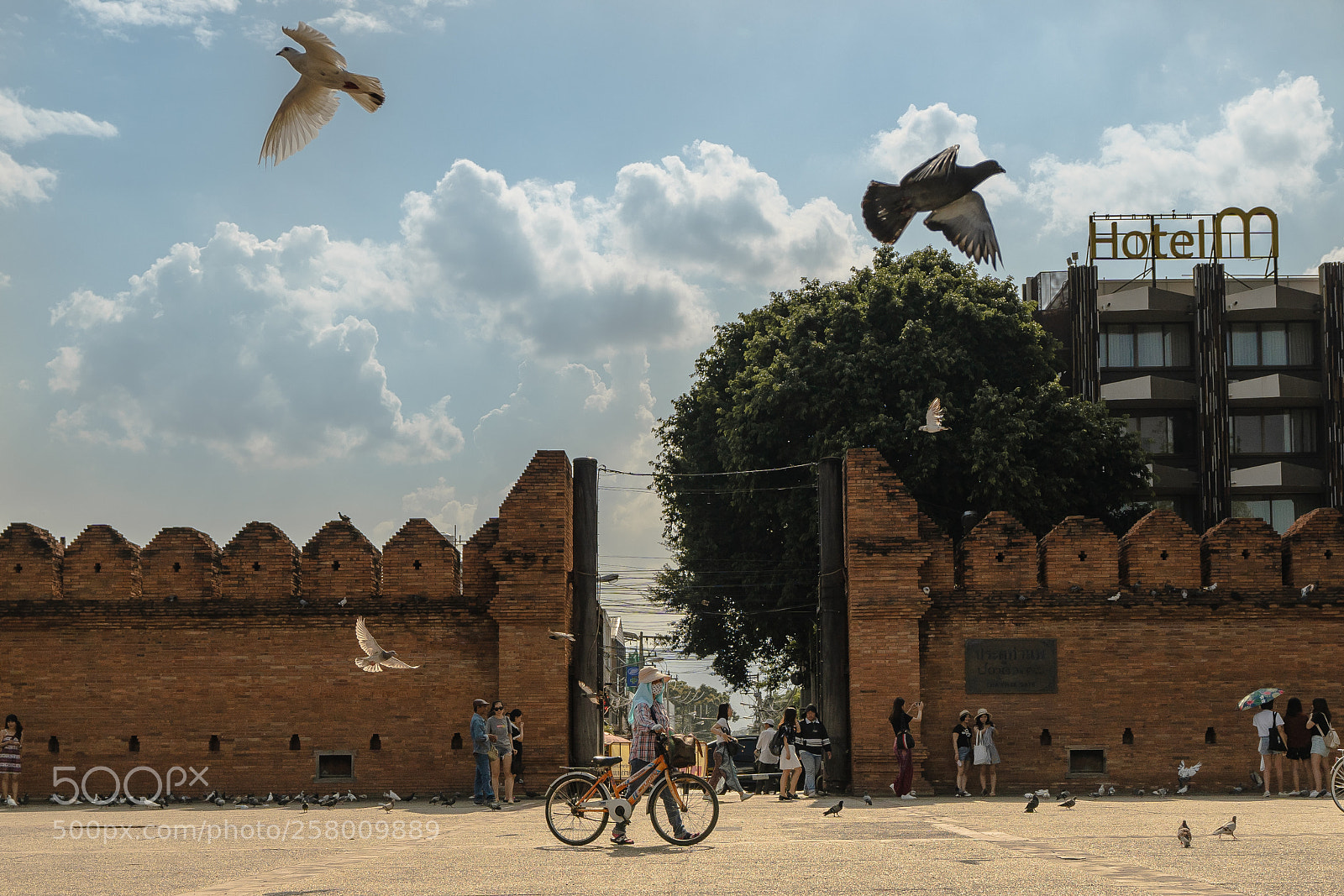 Sony a7 III sample photo. Tha pae gate chiang photography