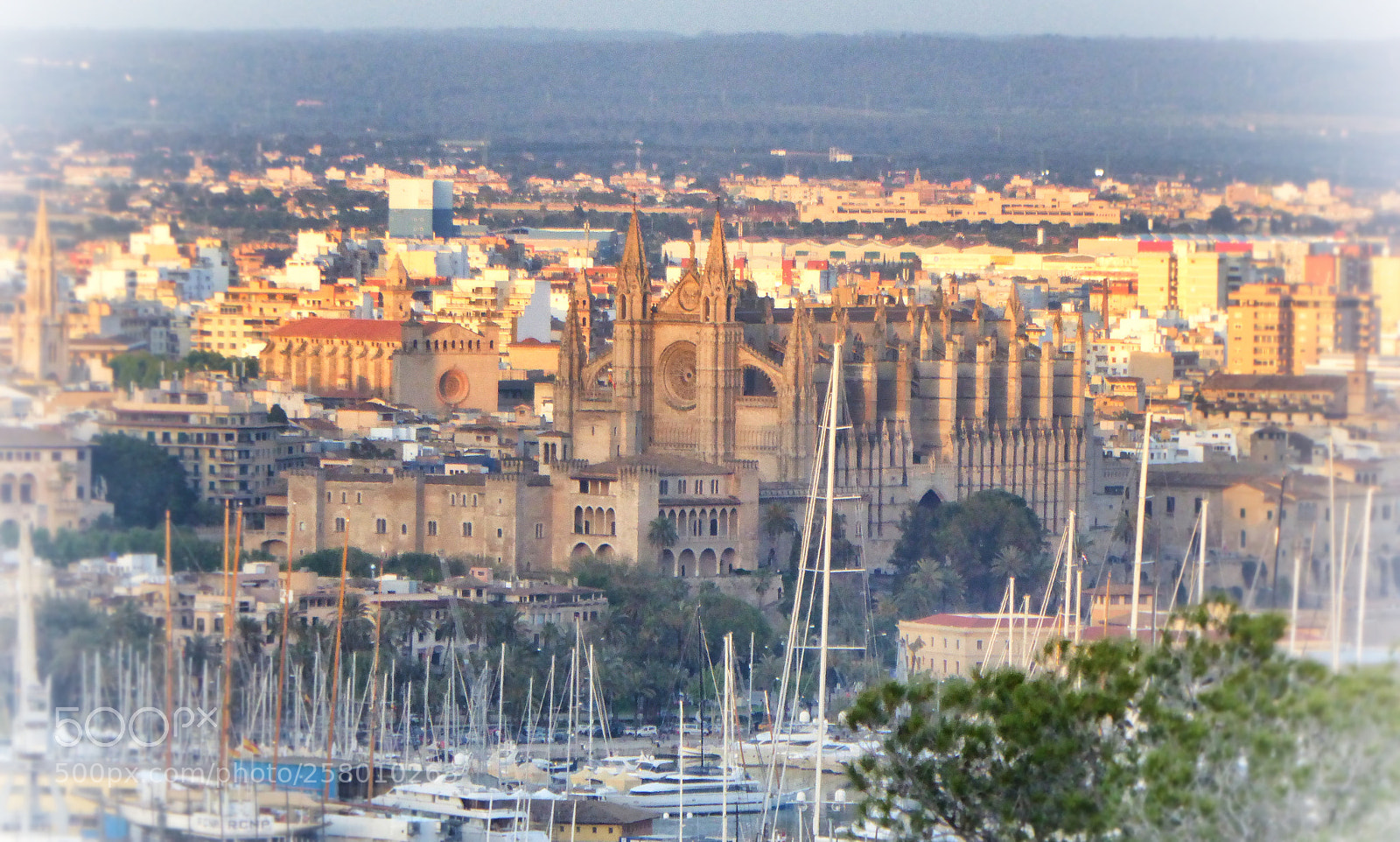 Panasonic DMC-TZ61 sample photo. Cathedral of mallorca in photography