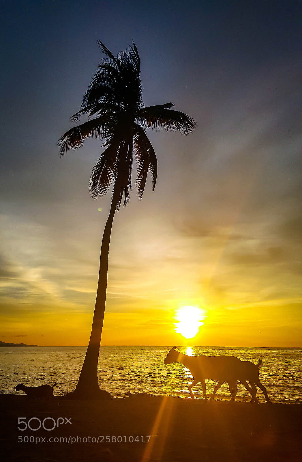 Samsung Galaxy Note5 sample photo. Sunset at lombang-lombang beach (2) photography