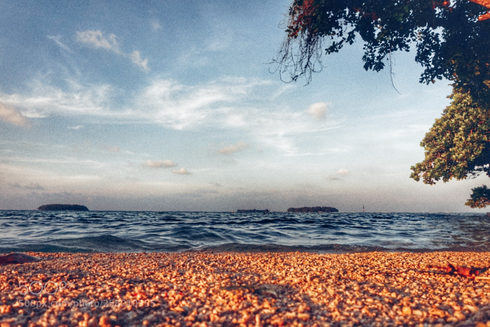 Sony Alpha a5000 (ILCE 5000) sample photo. Sand, sea, trees & skies photography