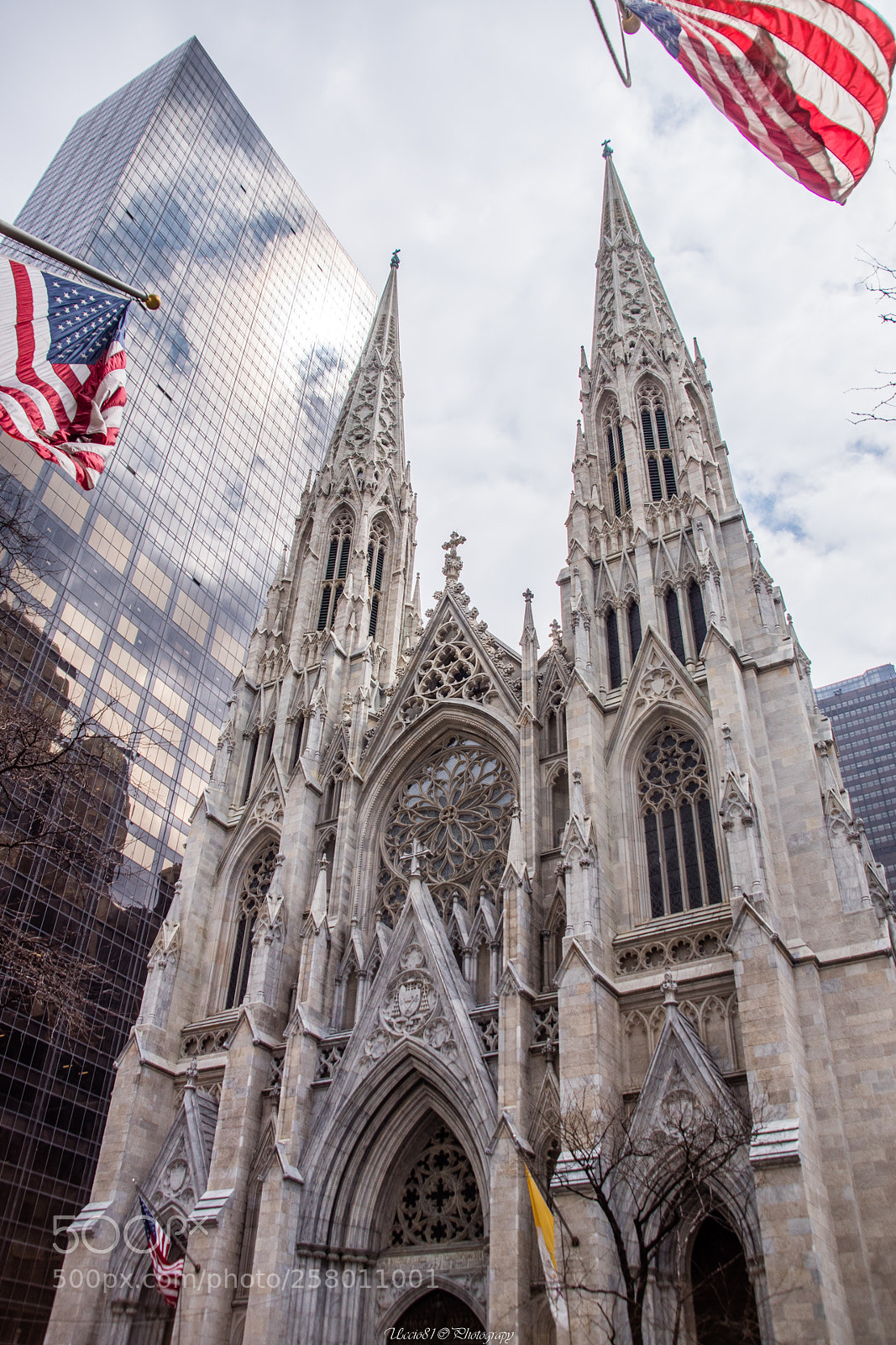 Sony SLT-A68 sample photo. St. patrick's cathedral photography