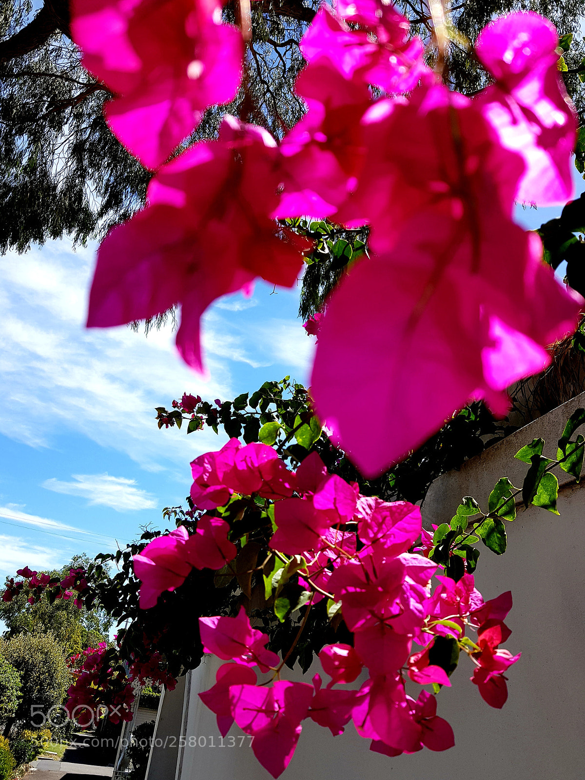Samsung Galaxy S8 sample photo. Untitled photography