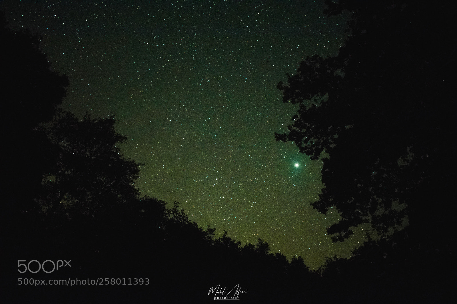 Nikon D3300 sample photo. Star road photography