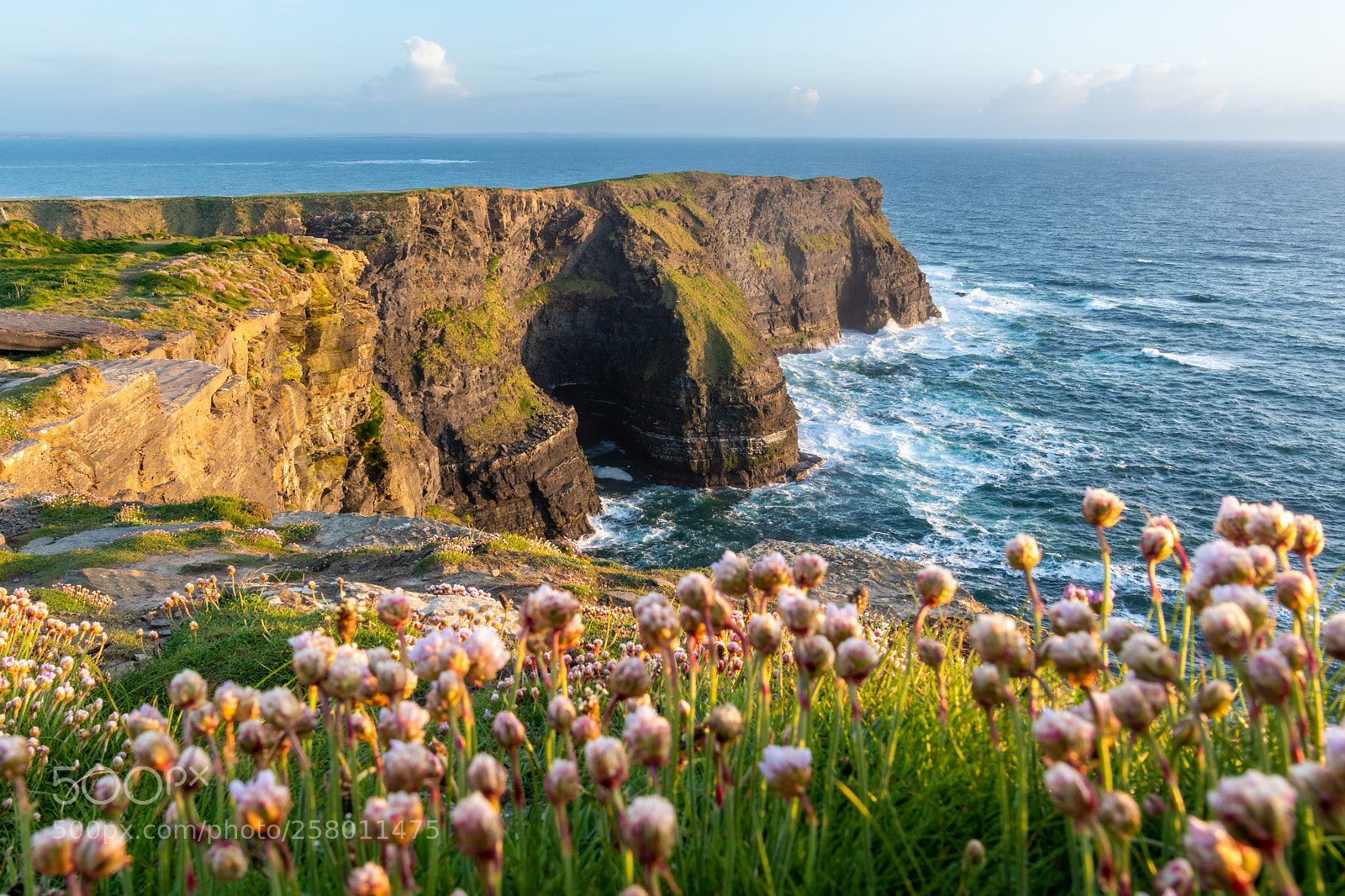 Nikon D500 sample photo. The cliffs of moher photography