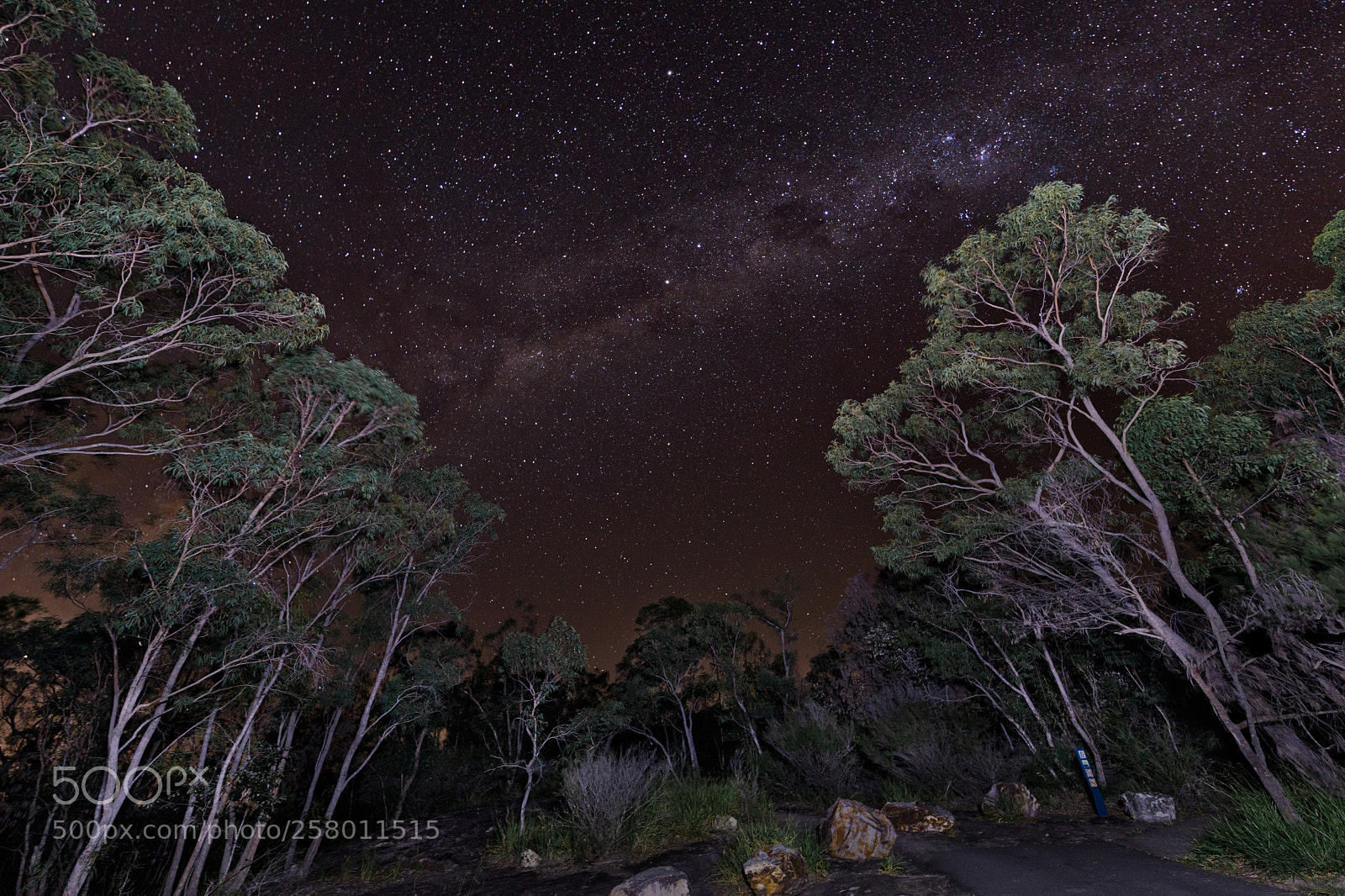 Canon EOS 5D Mark IV sample photo. Timbeerwha lookout photography