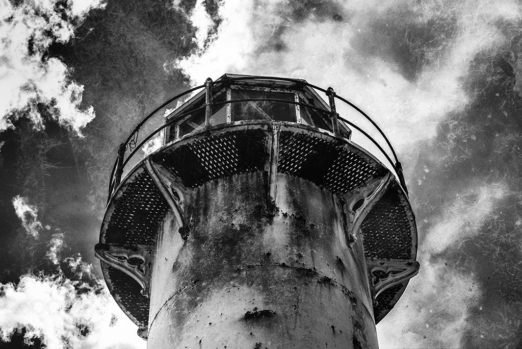 Nikon D750 sample photo. Brown darcy the lighthouse photography