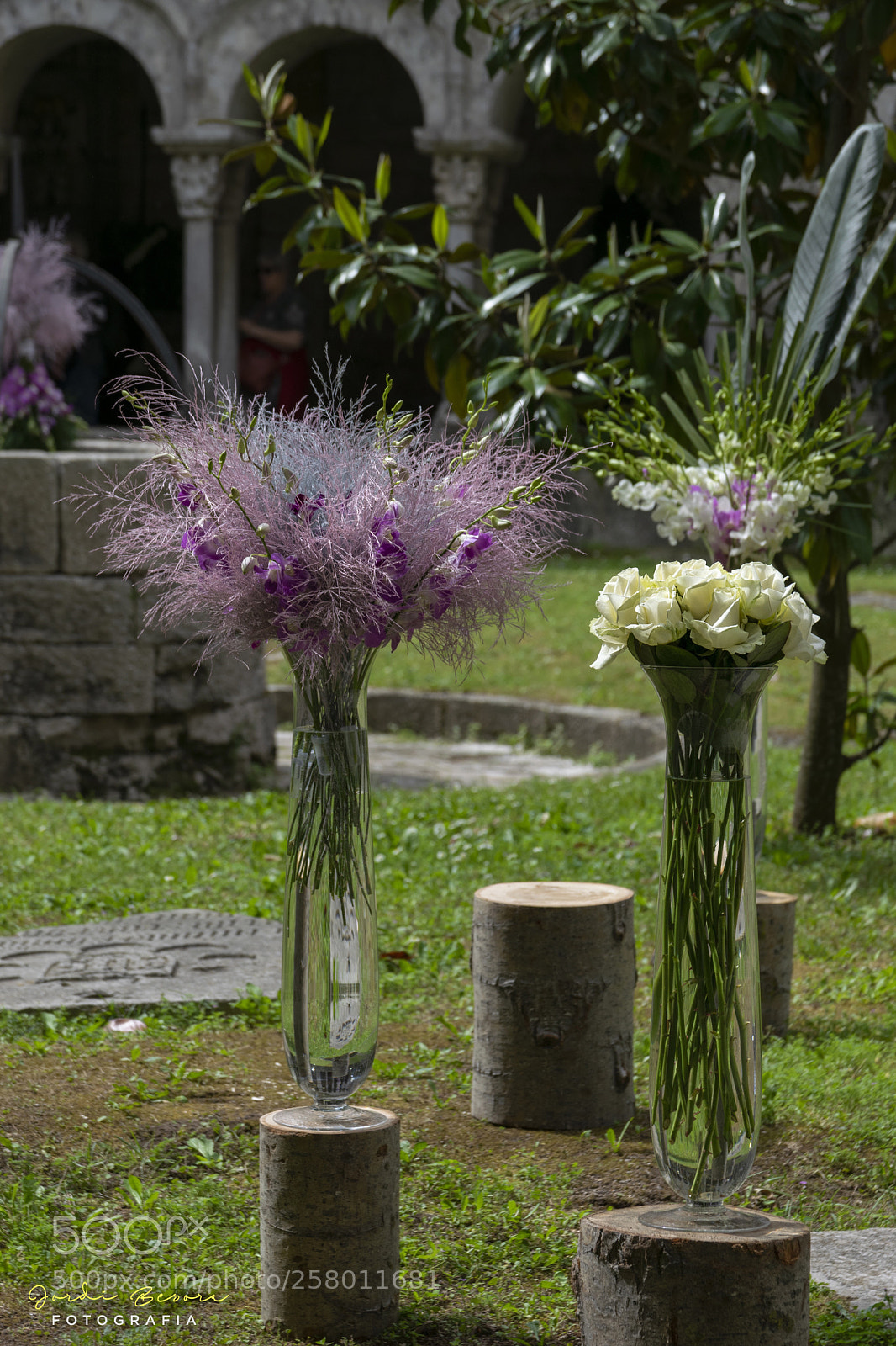 Nikon D5300 sample photo. Girona temps de flors photography