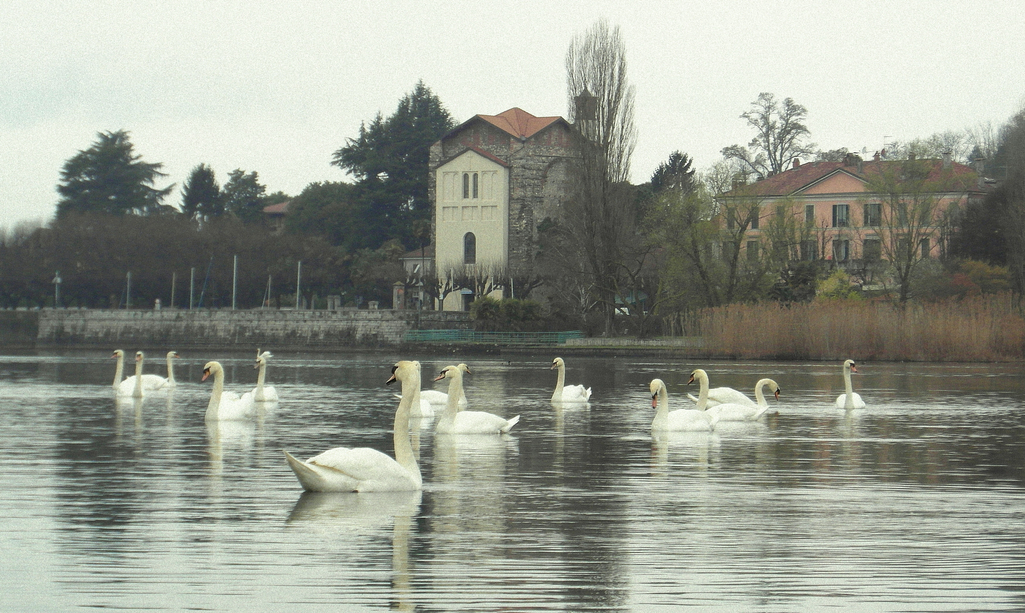 Samsung WB750 sample photo. Swans and church photography