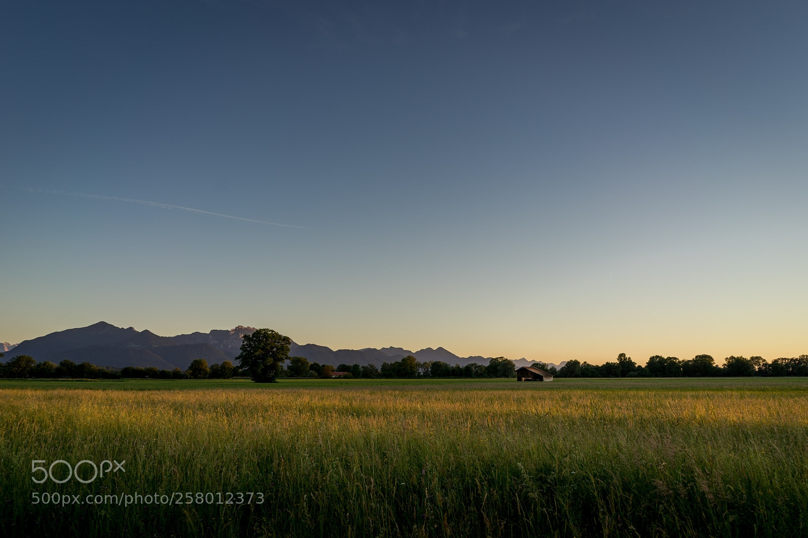 Sony a7 II sample photo. Lachsgang sunset stroll photography