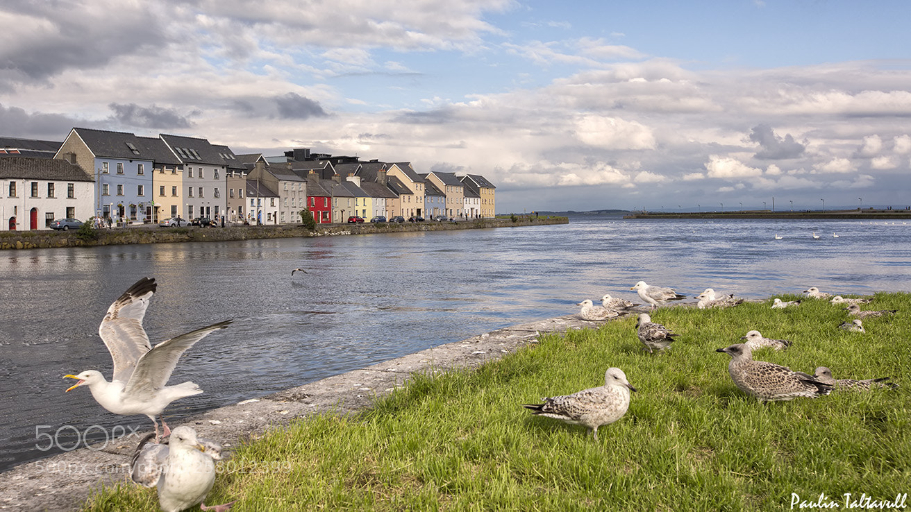 Canon EOS 6D sample photo. Galway, irlanda photography