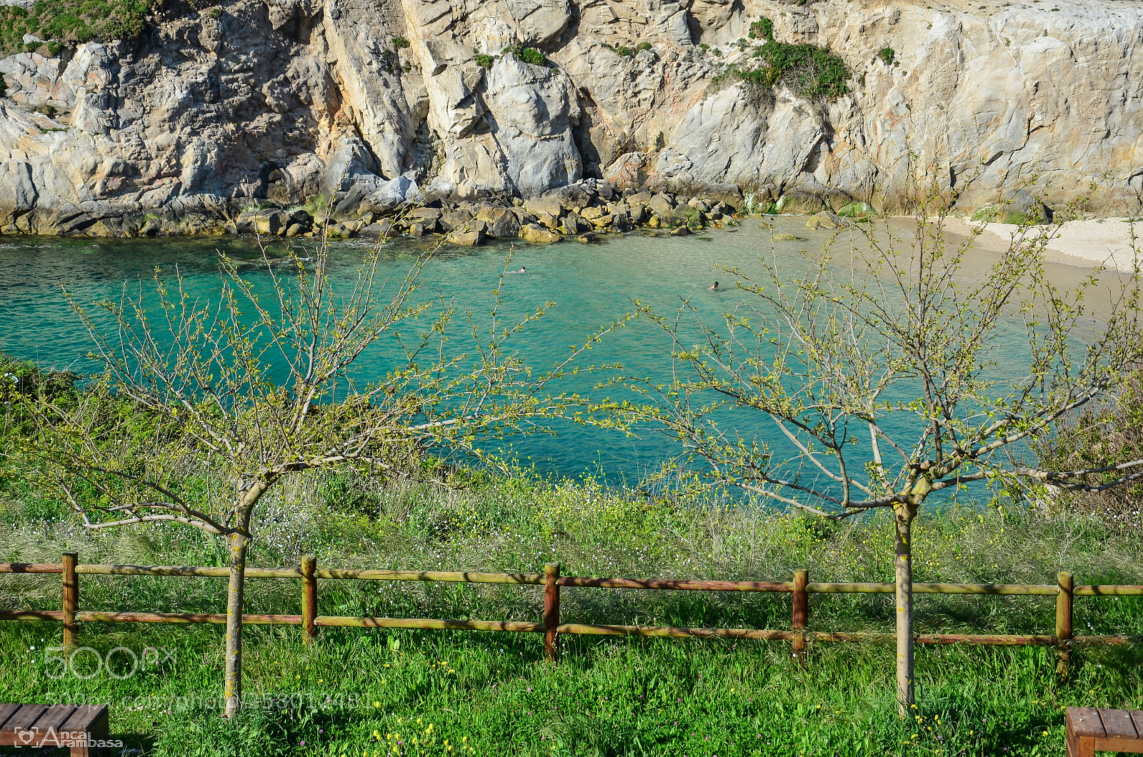 Nikon D5100 sample photo. Atlantic coast of a photography