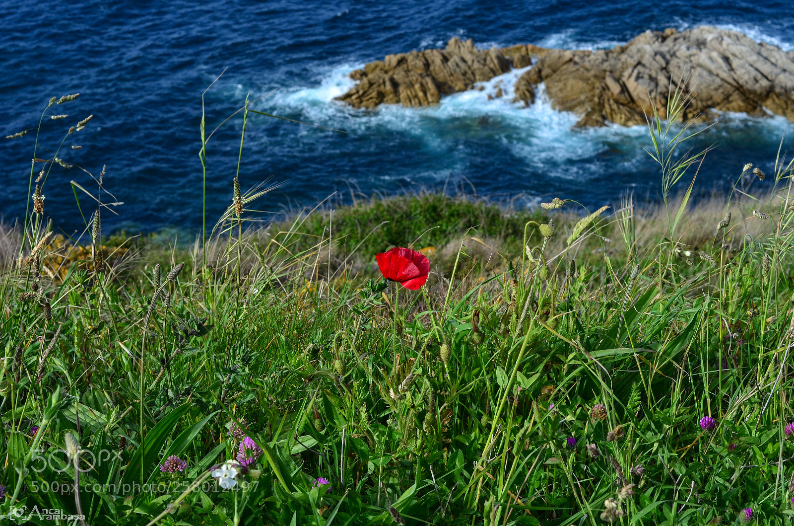 Nikon D5100 sample photo. Atlantic coast of a photography