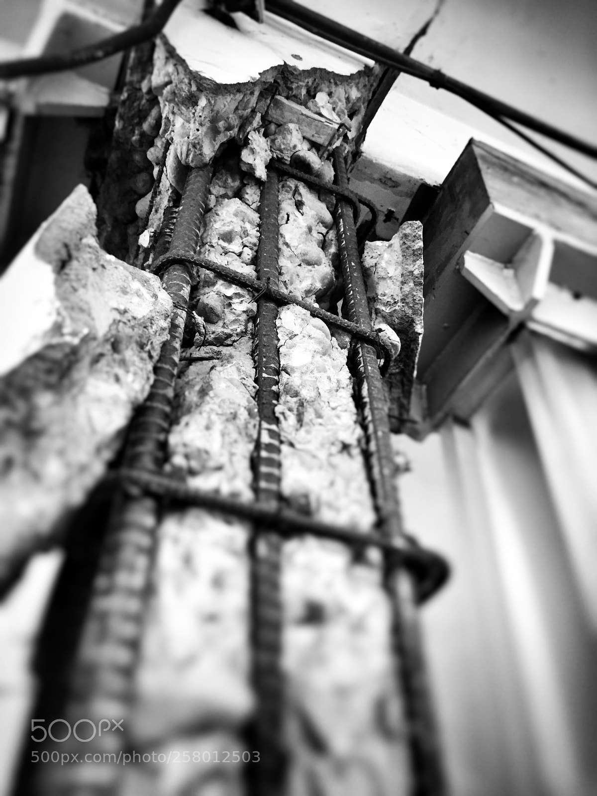 Apple iPhone 6 Plus sample photo. Untitled photography