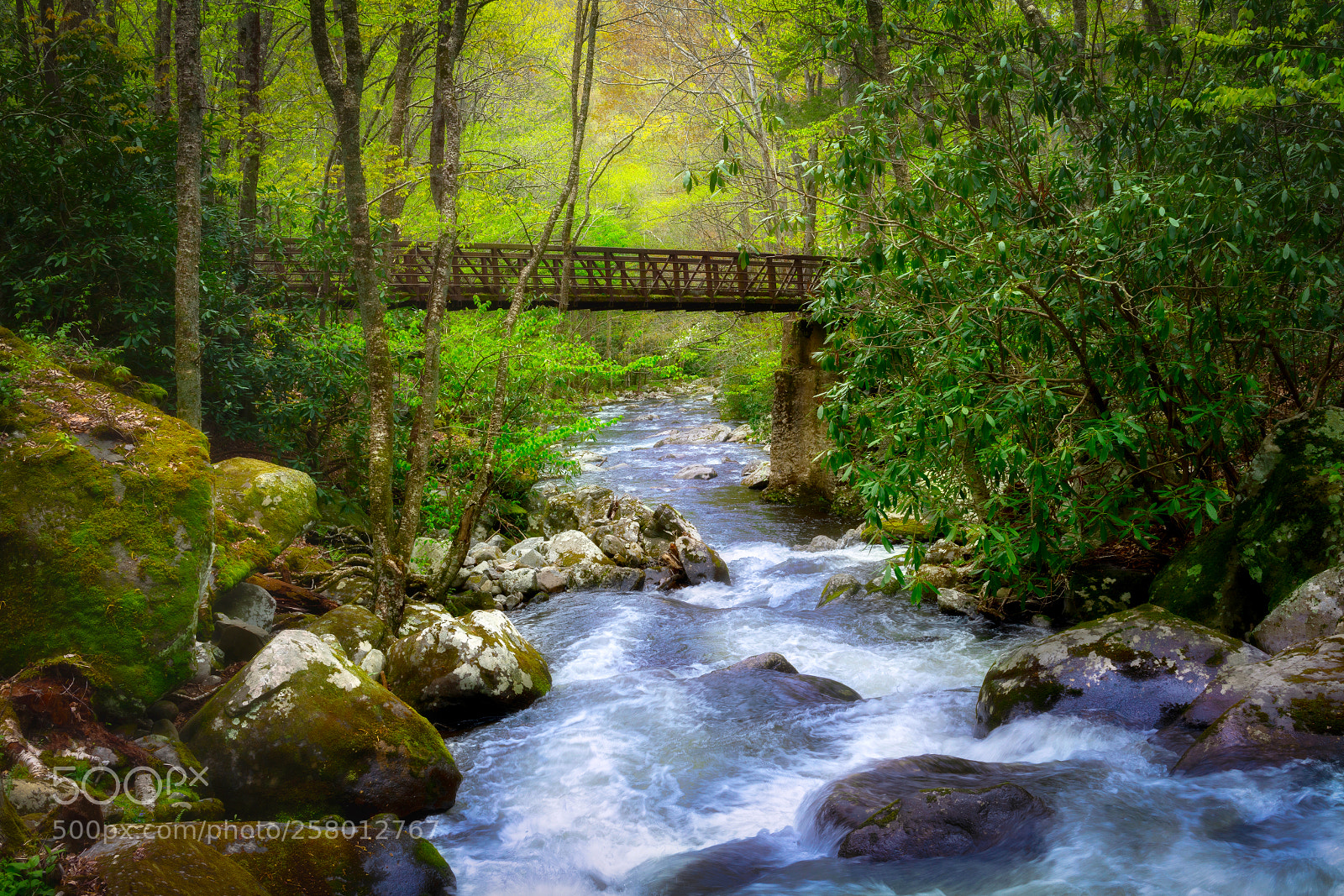 Sony a7R III sample photo. Old horse bridge in photography