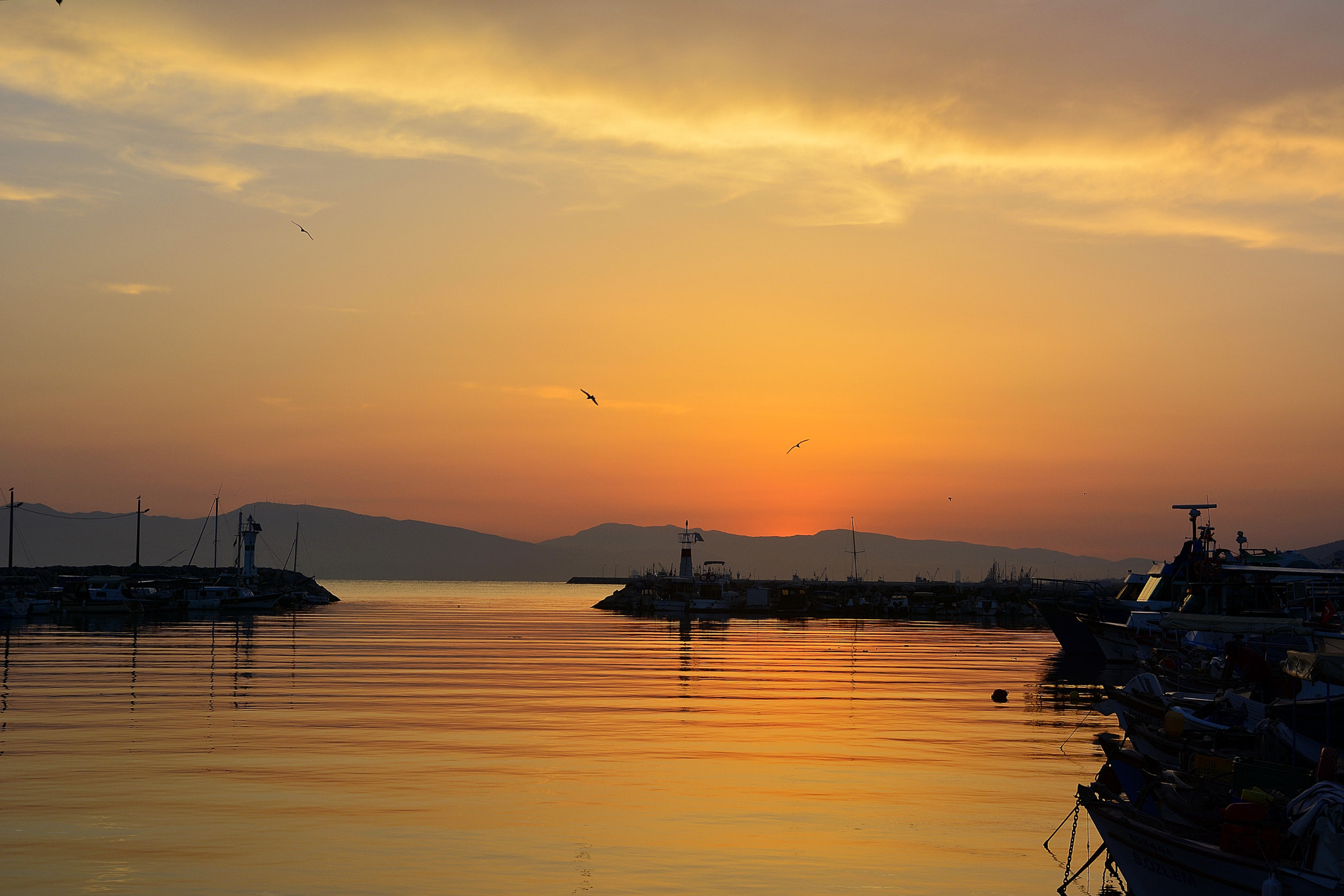 Nikon D7100 sample photo. Sunrise-marina photography
