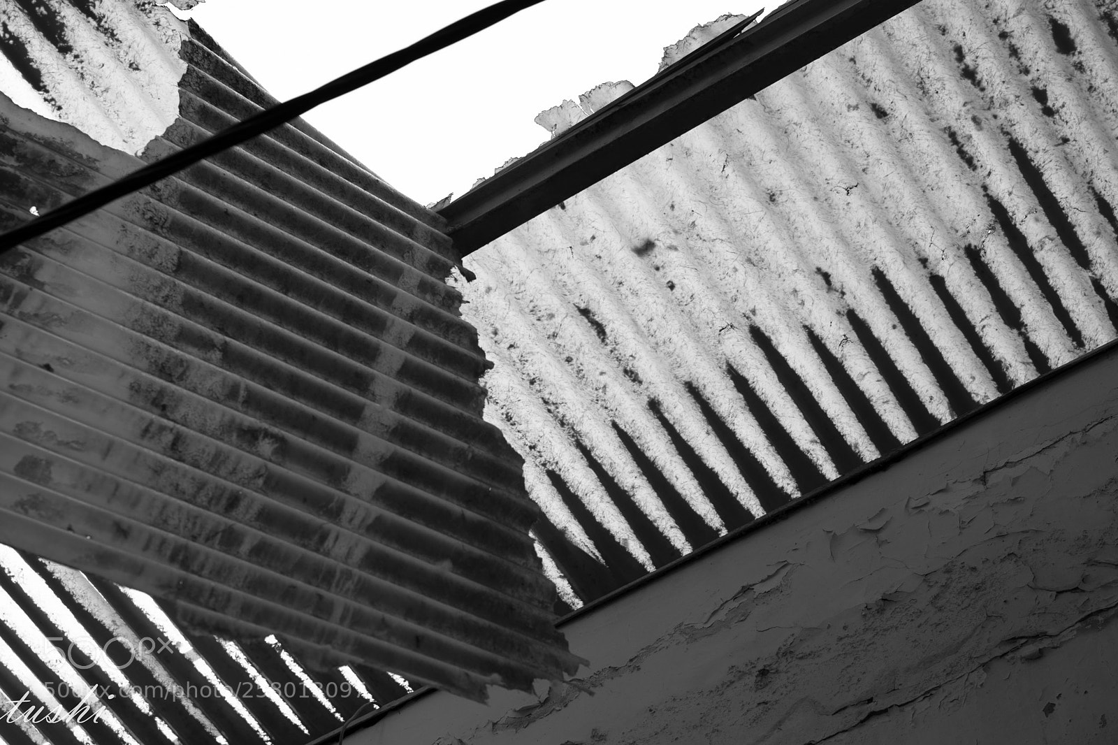Nikon D7100 sample photo. Untitled photography