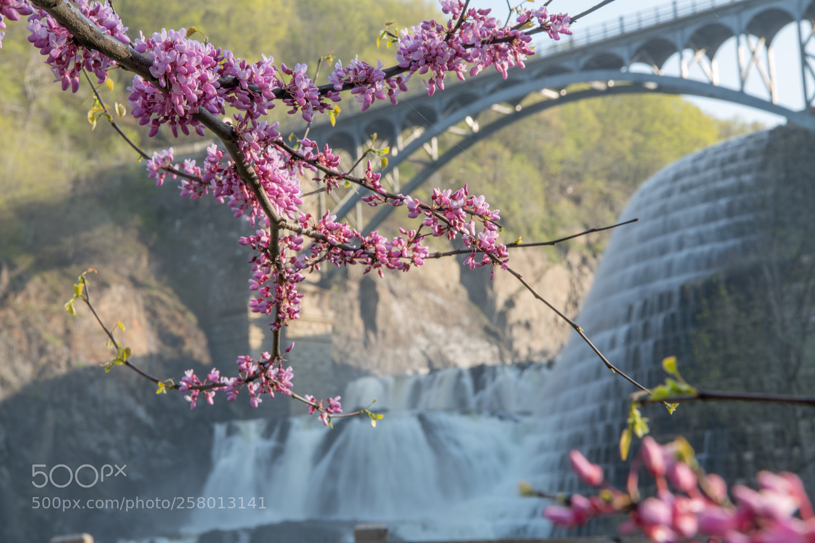 Nikon D850 sample photo. Spring photography