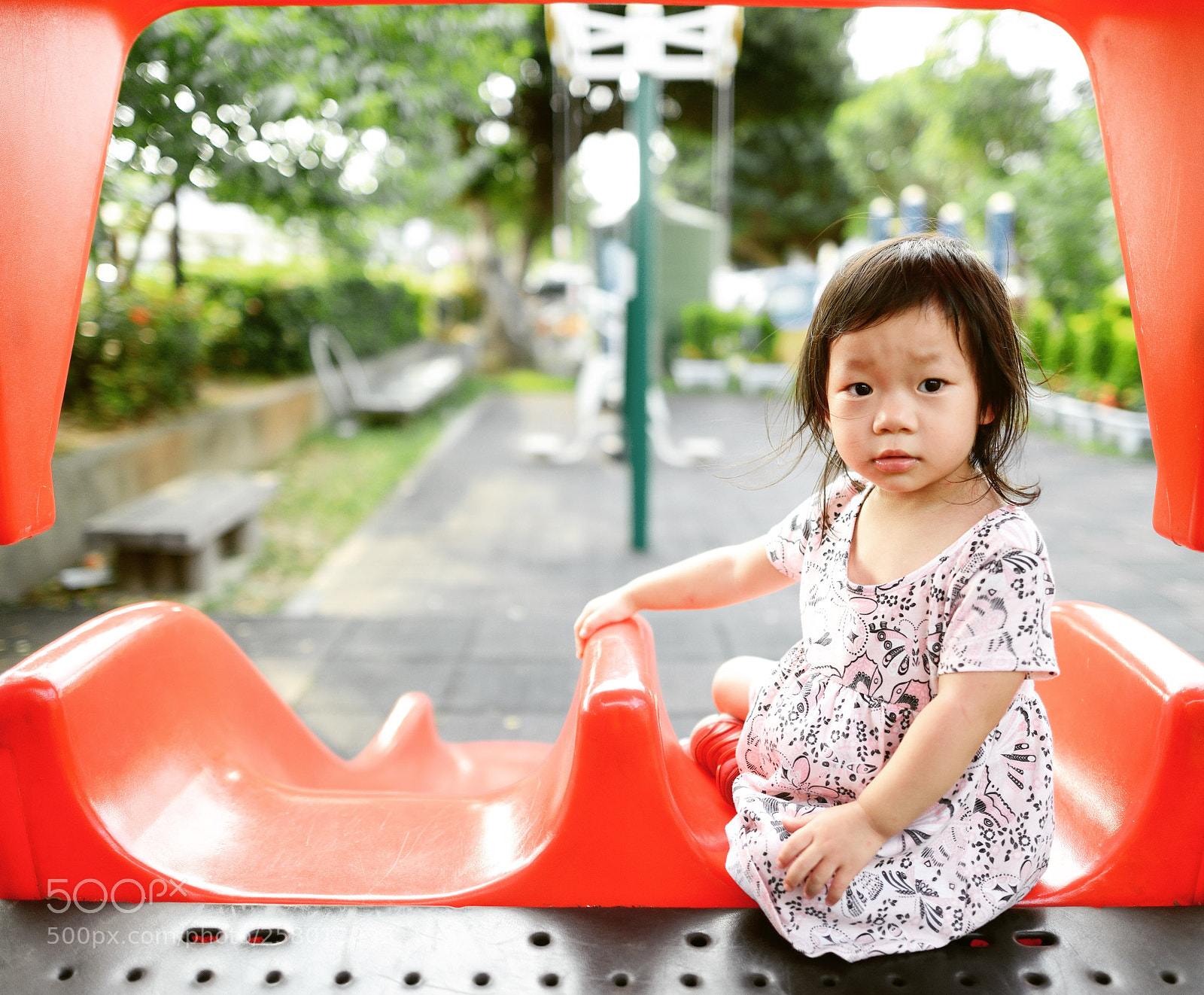 Nikon D800 sample photo. Untitled photography
