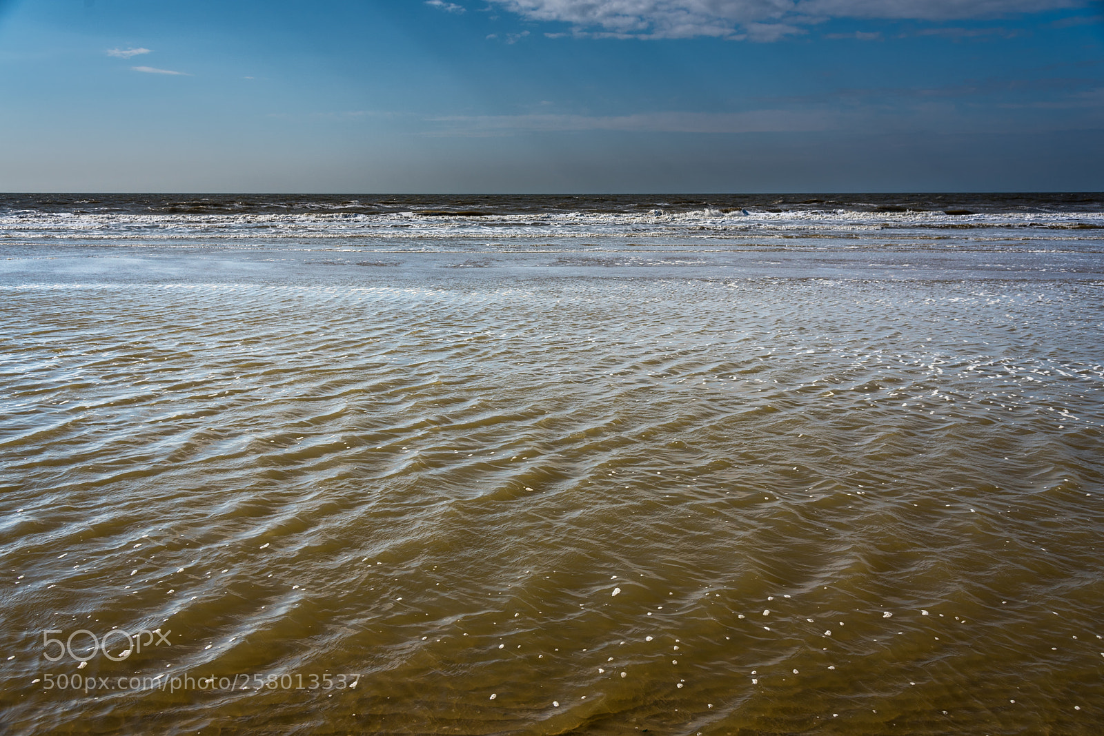 Nikon D750 sample photo. Colors of the north photography
