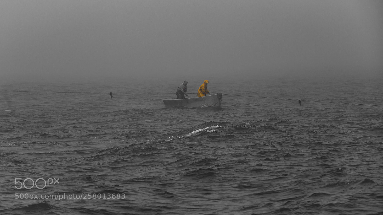 Canon EOS 6D sample photo. Trap fishing line photography