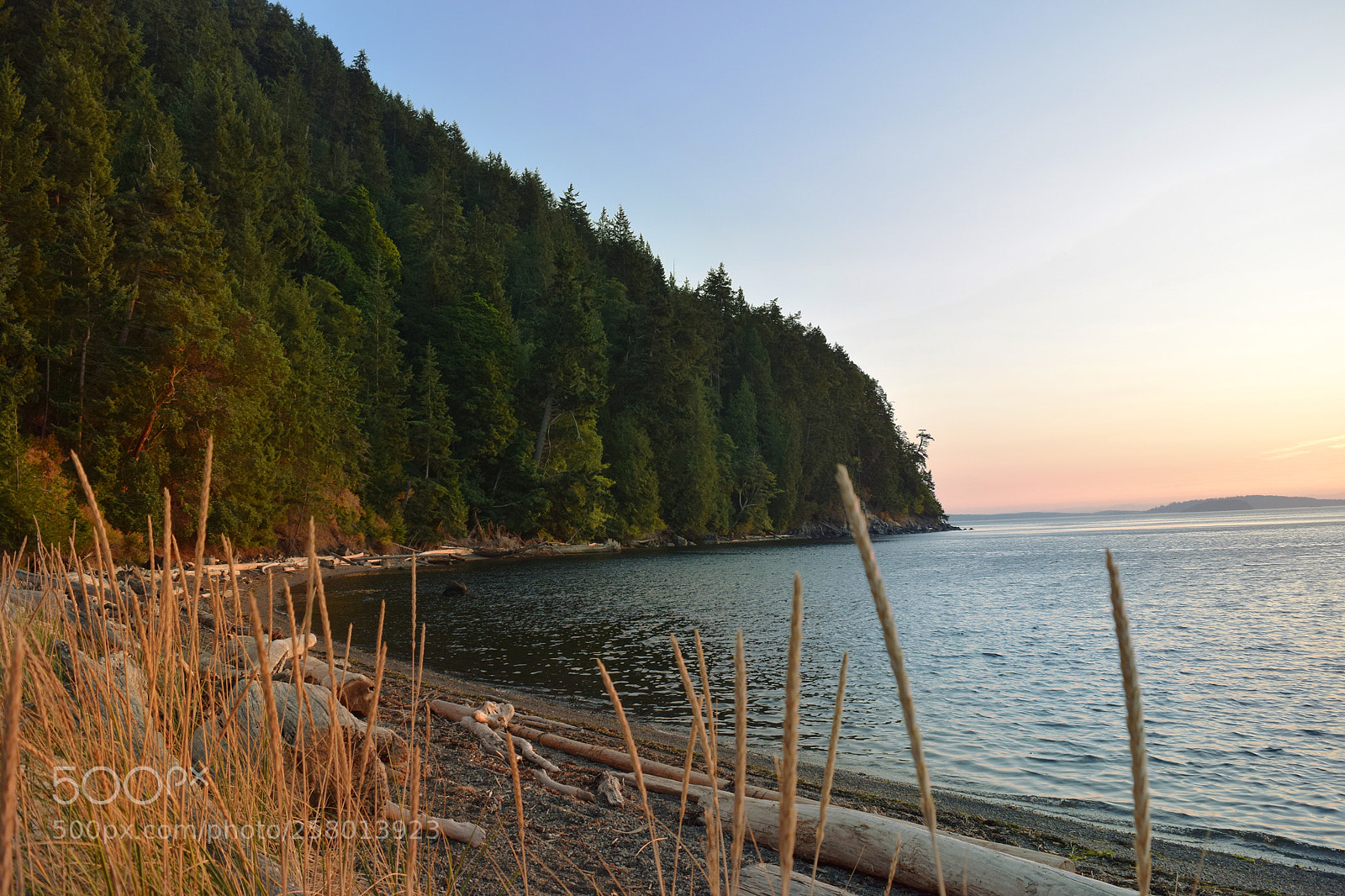 Nikon D5300 sample photo. Taryn rehn photography