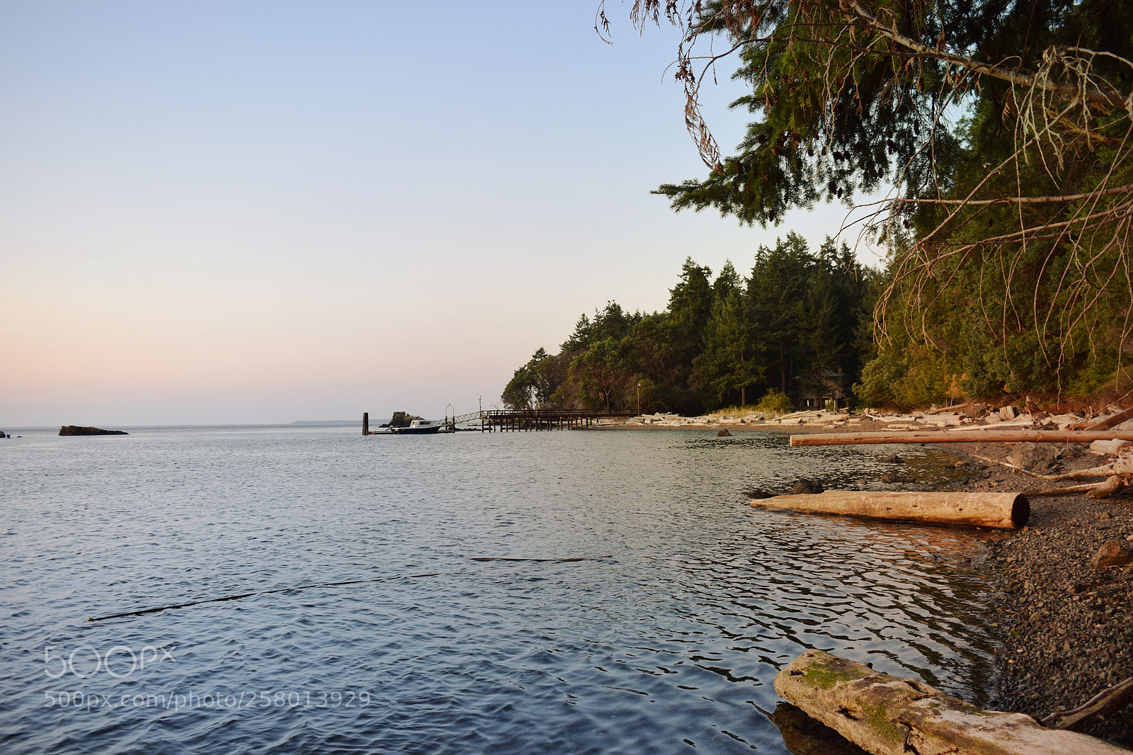 Nikon D5300 sample photo. Taryn rehn - waterfront photography