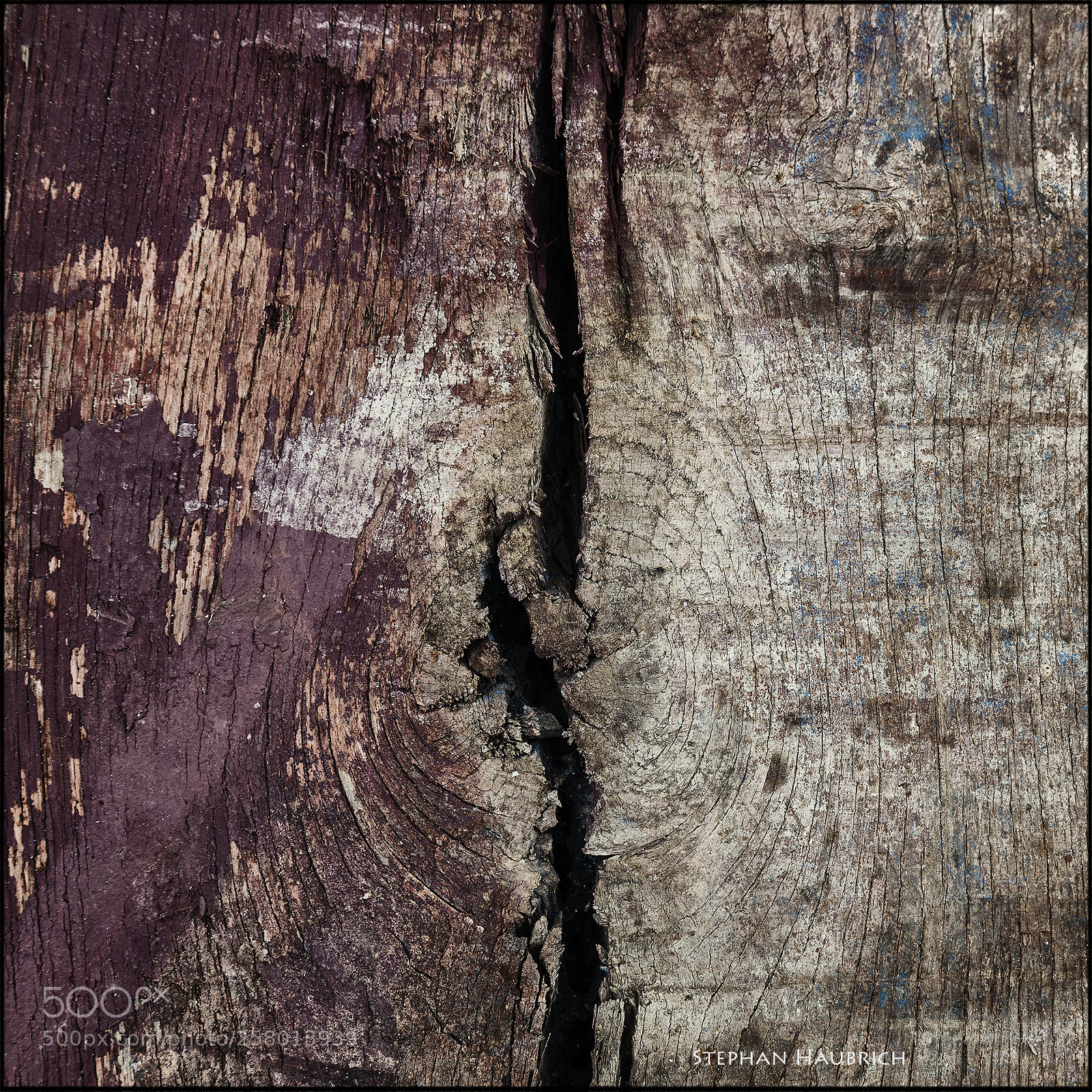 Canon EOS 5D Mark II sample photo. [ holz violett ] photography