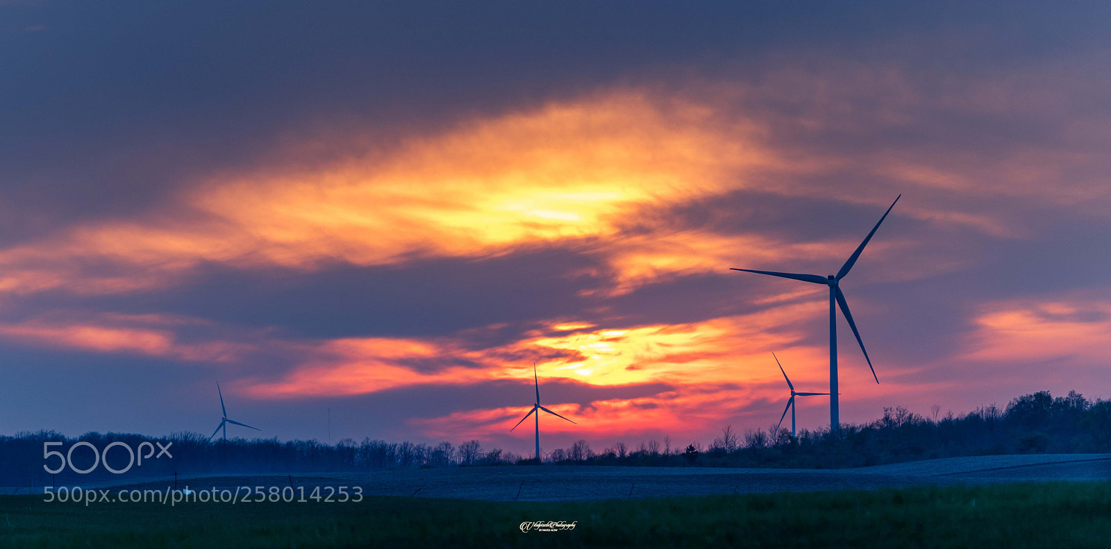 Nikon D500 sample photo. Sunset! photography