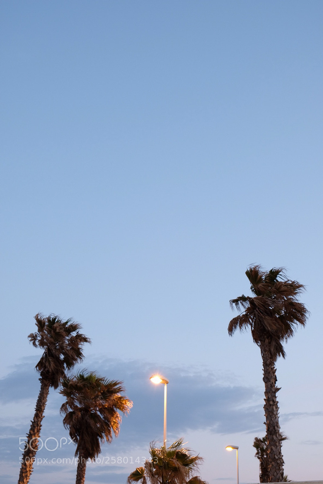 Fujifilm X-T20 sample photo. Untitled photography